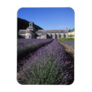 Search for gordes magnets Architecture