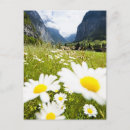 Search for lauterbrunnen postcards Nature