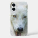 Search for wolf in snow iphone cases Wolves