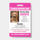 Search for cancer support Pink