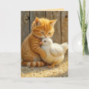 Search for friend of ginger Kitten