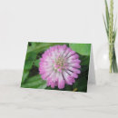 Search for water drop cards Pink