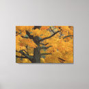 Search for maple canvas prints Colourful