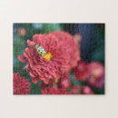 Search for insect puzzles Floral