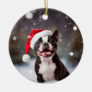 Search for boston christmas tree decorations Keepsake
