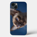 Search for cats eye iphone cases Siamese