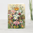 Search for ernst cards Nature
