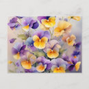Search for pansy flower postcards Yellow