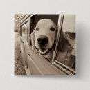Search for peeking in badges Black and white