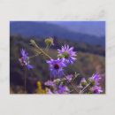 Search for patches postcards Purple