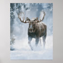 Search for canadian forest posters Moose