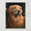 Search for golden retriever lover postcards Dogs