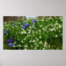 Search for early spring posters Floral