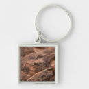 Search for desolate key rings Desert