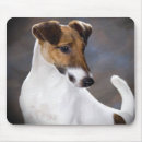 Search for russells electronics Animal