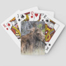 Search for moose playing cards Wildlife