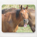 Search for horse riding mousepads Horses
