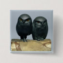 Search for perched badges Owl