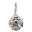 Search for diva pets Dogs