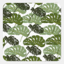 Search for monstera stickers Tropical