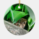 Search for ear christmas tree decorations Rabbit