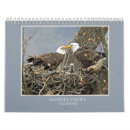 Search for birds of prey calendars Photography
