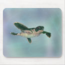Search for turtle babies electronics Ocean