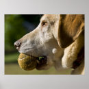 Search for play ball posters Yellow