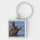 Search for domination key rings Horizontal