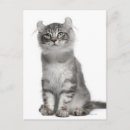 Search for curl photography Animals