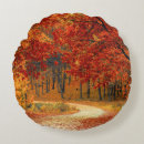 Search for seasonal cushions Autumn