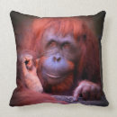 Search for orangutan cushions Nature