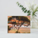 Search for kangaroo postcards Wildlife
