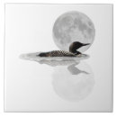Search for moonlight tiles Wildlife