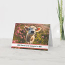 Search for highland cow birthday cards Humour