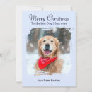 Search for animal print christmas cards Dog