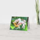 Search for shell note cards Nature