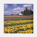 Search for crop magnets Red