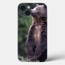 Search for bear cases Usa