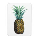 Search for pineapples magnets Watercolor