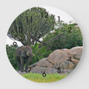 Search for tanzania Africa