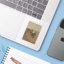 Search for curiosity stickers Science