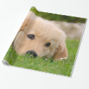 Search for puppy dog wrapping paper Golden retriever
