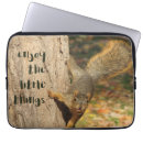 Search for nutty electronics Rodent