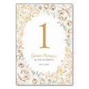 Search for quinceanera Mis quince anos