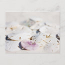 Search for dollar postcards Tropical
