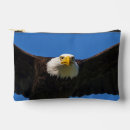 Search for bald eagles accessories Bird of prey