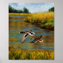Search for flying ducks art Waterfowl