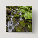 Search for moss badges Nature