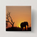 Search for botswana badges Animal